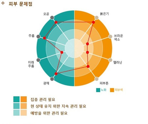 하이드라페이셜 시술 전 피부 분석 결과, 피부 문제점을 동심원 그래프로 표시