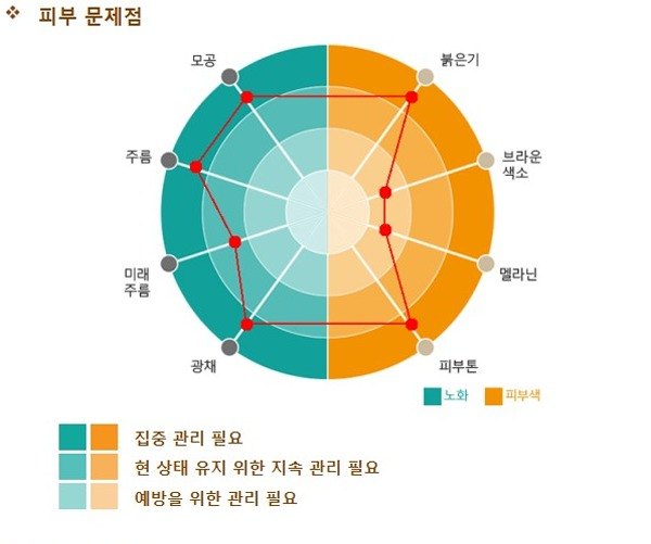 하이드라페이셜 시술 후 피부 분석 결과, 피부 문제점을 동심원 그래프로 표시
